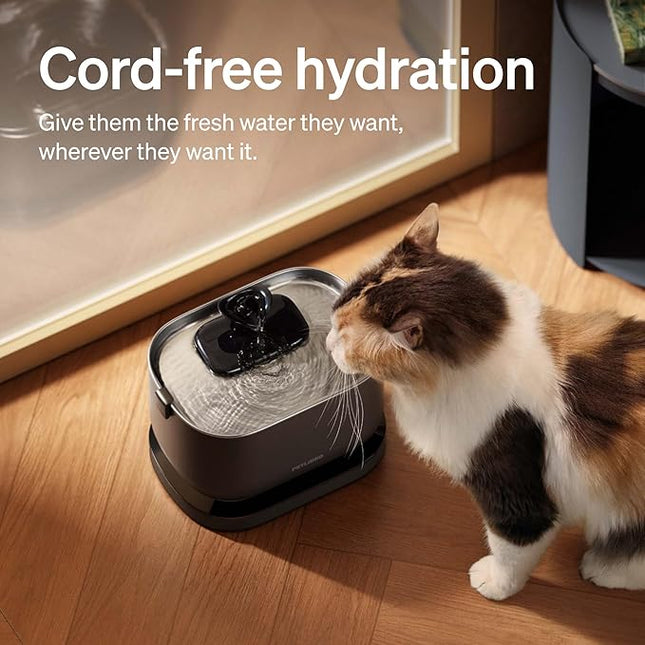 PETLIBRO Cat Water Fountain, Cordless with Stainless Steel Tray, 2.5L Black
