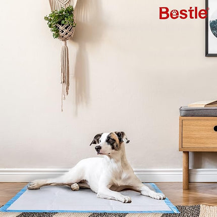 BESTLE Extra Large Pet Training and Puppy Pads Pee Pads for Dogs 28"x34" -40 Count Super Absorbent & Leak-Free