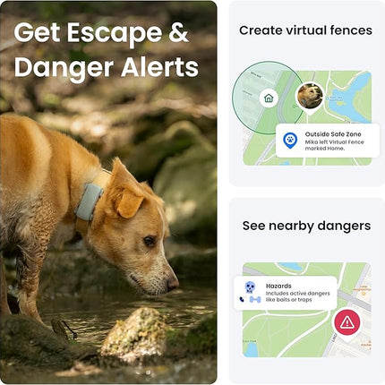 Tractive GPS Dog Tracker | 2025 Edition | Market Leader (Mint)