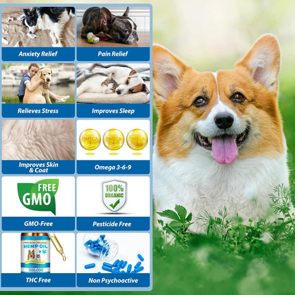Oimmal Oil for Dogs & Cats 60ML,Pet Oil for Pain,Skin,Arthritis Pain,Pain Relief,Calming,Omega
