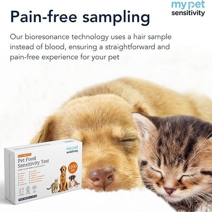 Ultimate At-Home Pet Sensitivity Test | 1100 Items | Quick Results | Non-Invasive Hair Collection | Food, Environment, Nutrient & Mineral Analysis | All Breeds & Ages
