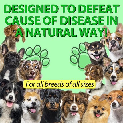 Dog Antibiotics, Natural Antibiotics for Dogs, Dog Multivitamin Herbal Supplements 60ml