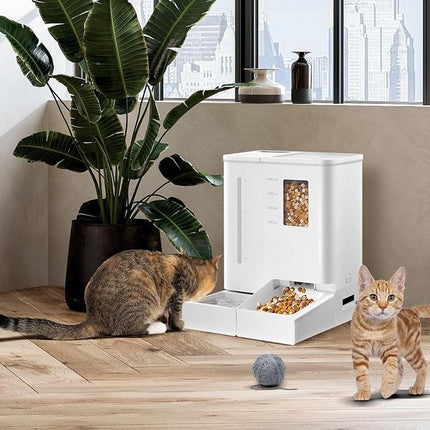 Pet Scene Automatic Cat Feeder Water Set, with 4L Waterer & 5L Feeder Capacity
