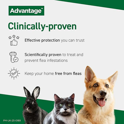 Advantage Fleas for Cats Over 4kg - 6 Pack