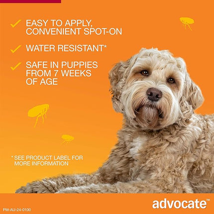 Advocate Dog, Monthly Spot-On Protection from Fleas, Heartworm and Worms, Single Pack Flea Treatment for Large Dogs 10-25 kg, 1 Pack