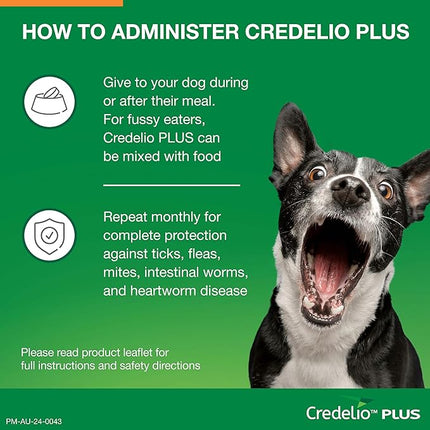 Credelio Plus Dog Flea and Tick Treatment, Single Pack, Ticks, Fleas, Mites, Heartworm & Worms Parasite Protection, in The Smallest Monthly Chewable Tablet for Dogs > 5.5-11 kg, 1 Pack