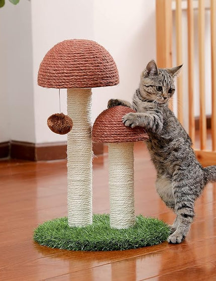 Collection image for: Cat Tree and Scratchers