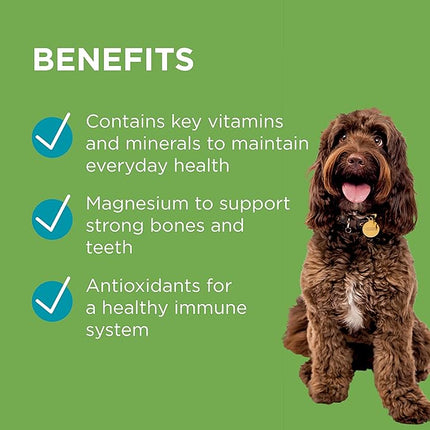 PAW by Blackmores Wellness and Vitality Multivitamins for Dogs |Maintains General Wellness & Vitality | 60 Chews