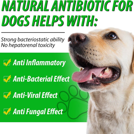 Dog Antibiotics, Natural Antibiotics for Dogs, Dog Multivitamin Herbal Supplements 60ml