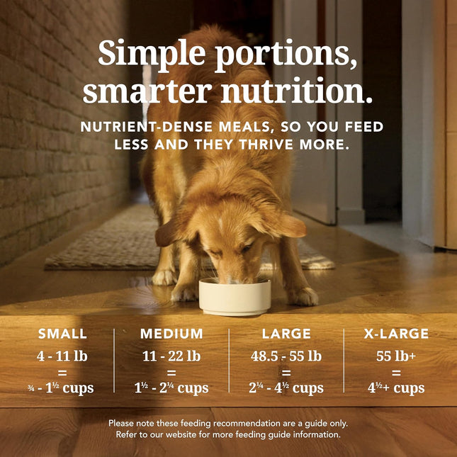 K9 Naturals Freeze Dried Dog Food Topper with Verified Ingredients, Organ Meat Blend for Digestive Support, Human-Grade Freeze Dried Puppy Food & Dog Topping, Lamb Green Tripe, 200g