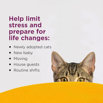 Comfort Zone Cat Calming Diffuser Refill, 6 Pack of 30-day refills