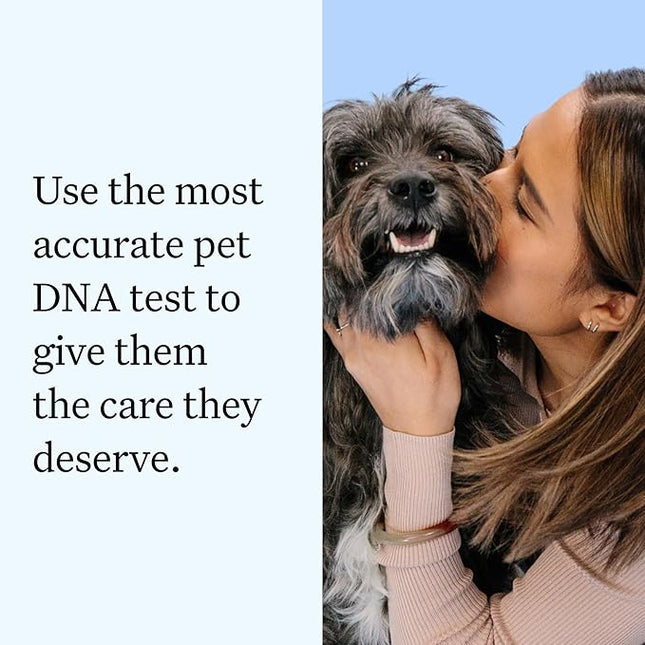 Wisdom Panel Essential Dog DNA Testing Kit - Most Accurate Test for 430+ Dog Breeds, 30 Genetic Health Conditions, 50+ Traits, Relatives, Ancestry, 1 Pack