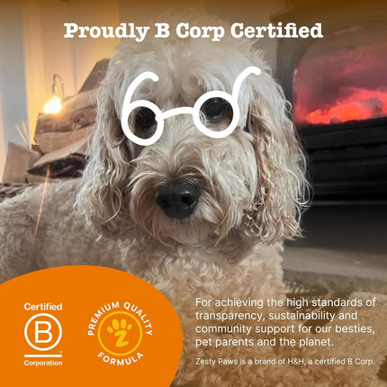 Zesty Paws Pre, Post & Probiotic Chews & Treats for Dogs, Pumpkin Flavour w/Epicor Postbiotics for Immune Support, Bacillus Subtilis & Inulin for Gut Health, All Breeds & Ages, 50 Pieces