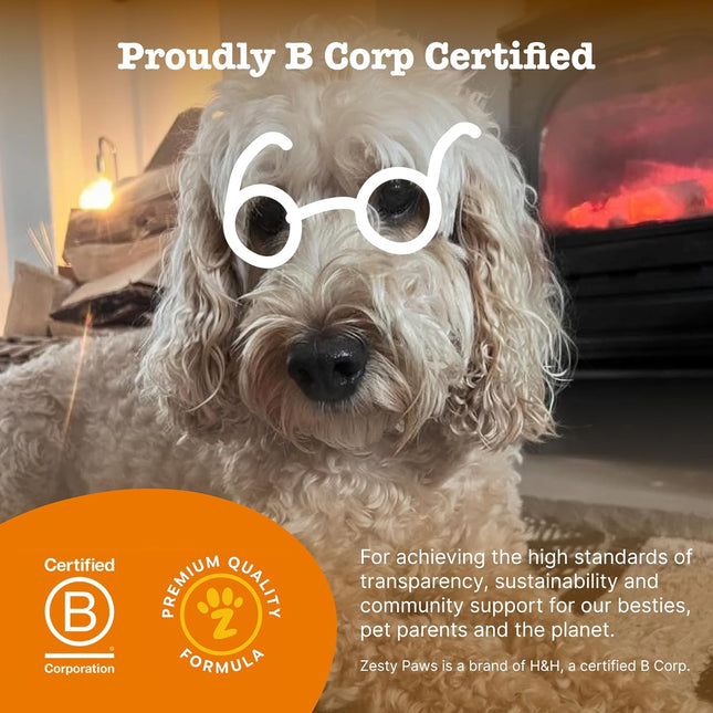 Zesty Paws Pre, Post & Probiotic Chews & Treats for Dogs, Pumpkin Flavour w/Epicor Postbiotics for Immune Support, Bacillus Subtilis & Inulin for Gut Health, All Breeds & Ages, 50 Pieces