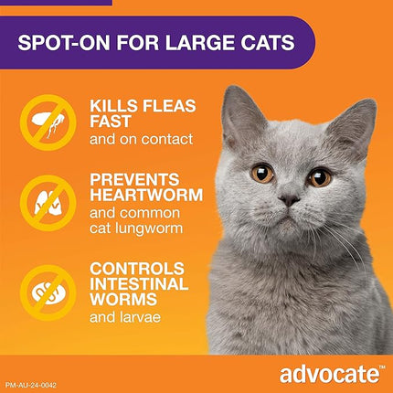 Advocate Cat, Monthly Spot-On Protection from Fleas, Heartworm and Worms, Single Pack Flea Treatment for Cats Over 4 kg, 1 Pack