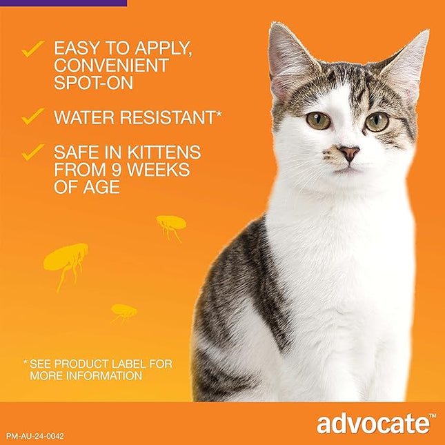 Advocate Cat, Monthly Spot-On Protection from Fleas, Heartworm and Worms, Single Pack Flea Treatment for Cats Over 4 kg, 1 Pack
