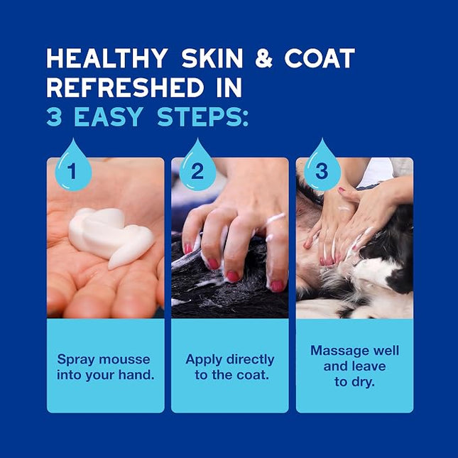 DOUXO® Skin & Coat SPA - Ultra-Safe Quick Refresh Leave-on Mousse for Dogs, 10 fl oz, Safely Cleans and Refreshes