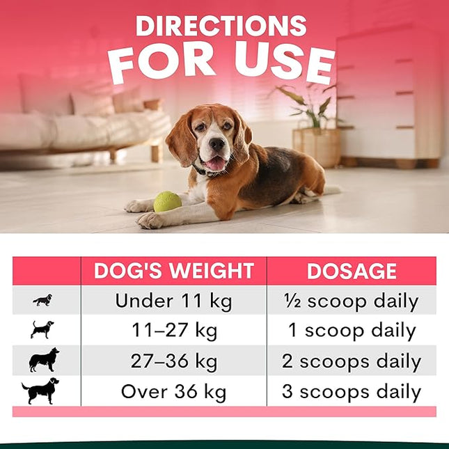 Petz Park Hip + Joint for Dogs 90 Scoops, Glucosamine for Dogs with Chondroitin and MSM, Dog Hip and Joint Supplement
