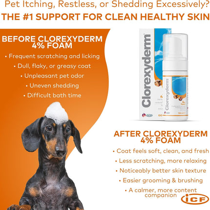 CLX 4% Chlorhexidine Dog & Cat Foam, No-Rinse Cleansing Mousse, 100 ml