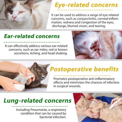 Natural Cat Multivitamin Supplement for Allergy, Urinary Tract & UTI Support, Chicken Flavour for Cats of All Ages & Breeds, 2 Fl Oz