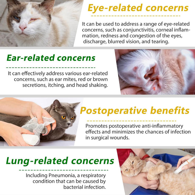 Natural Cat Multivitamin Supplement for Allergy, Urinary Tract & UTI Support, Chicken Flavour for Cats of All Ages & Breeds, 2 Fl Oz