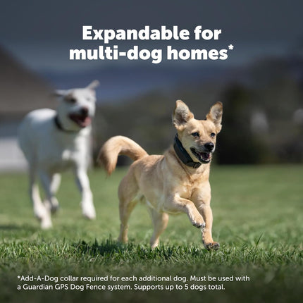 PetSafe Guardian GPS Dog Fence, 3/4 Acre+ | No Subscription, Tone, Vibration, or Static, up to 5-Day Battery, Installs in 1 Hour, Dogs 25 lbs + with, Neck 13-28 in