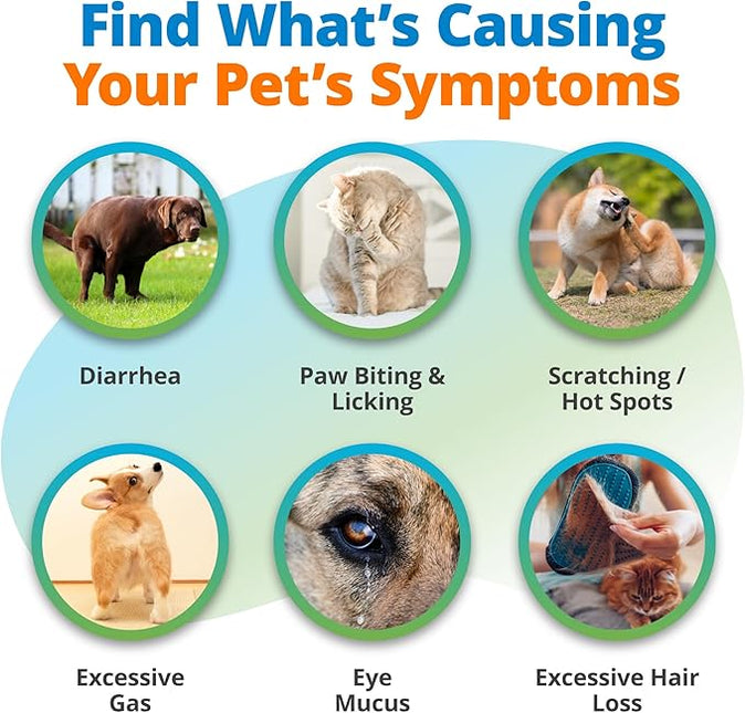 5Strands Kibble & Wet Pet Food Intolerance Test for Dogs & Cats, Identify Trigger Ingredients In Your Pet’s Diet, At Home Hair Sample Screening for 410 Ingredients Including Dairy Powder & Meat Powder
