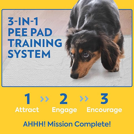 Out 72473-4P Heavy Duty XXL Dog Pads | Absorbent Pet Training and Puppy Pads | 30 Pads
