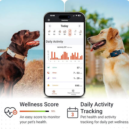 PAJ 4G Dog GPS Tracker & LED Collar Bundle, 3 Months Included - Real-Time Dog Tracking - Escape Alerts - Virtual Fence - Activity & Health Monitor - 7 Light Colors