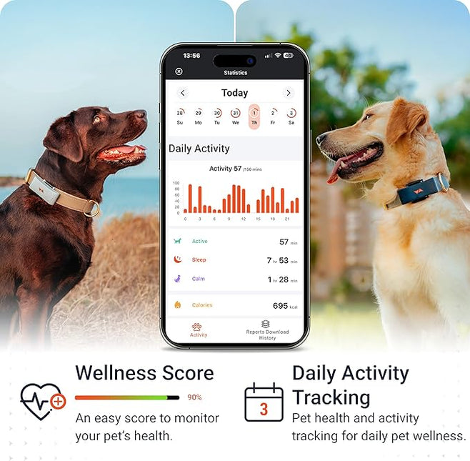 PAJ 4G Dog GPS Tracker & LED Collar Bundle, 3 Months Included - Real-Time Dog Tracking - Escape Alerts - Virtual Fence - Activity & Health Monitor - 7 Light Colors