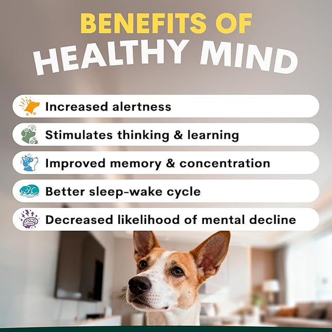 Petz Park Brain Support for Dogs 45 Scoops, Dog Supplements Made in Australia, Senior Dog Brain Support Supplement, Cognitive Support Powder