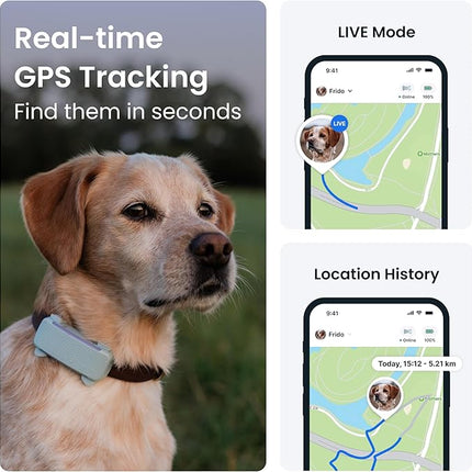 Tractive GPS Dog Tracker | 2025 Edition | Market Leader (Mint)