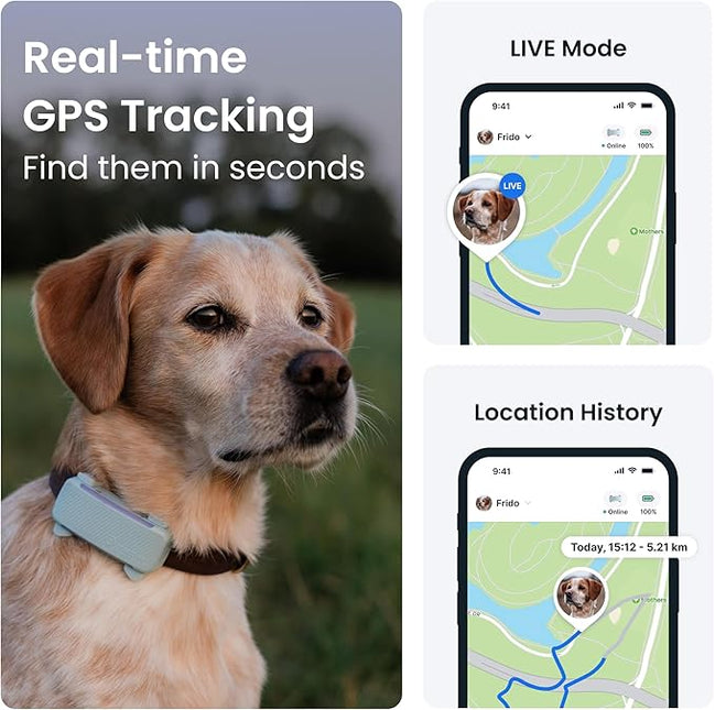 Tractive GPS Dog Tracker | 2025 Edition | Market Leader (Mint)