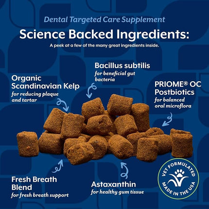 NaturVet Dental Targeted Care Supplement for Dogs & Cats - 60 Ct