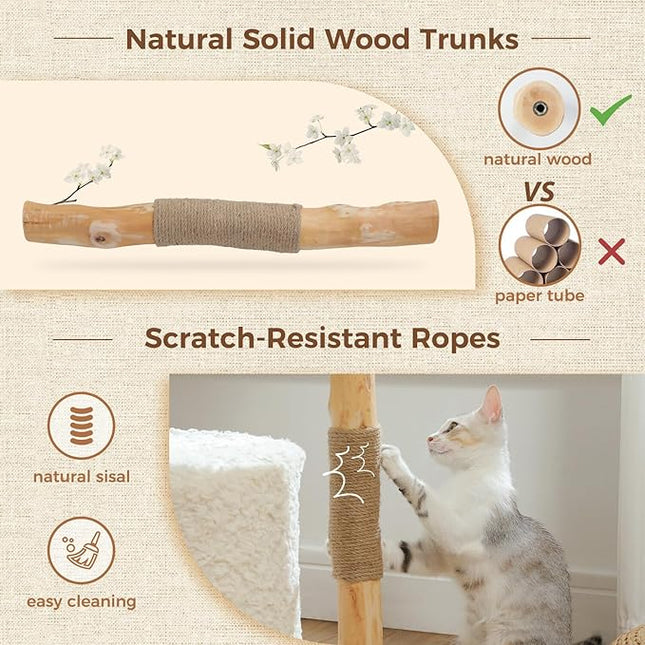 PAWZ Road Modern Cat Tree, Real Wood Cat Tower for Indoor Large Cats, Luxury Furniture with Large Cozy Hammock(Dia=40cm)
