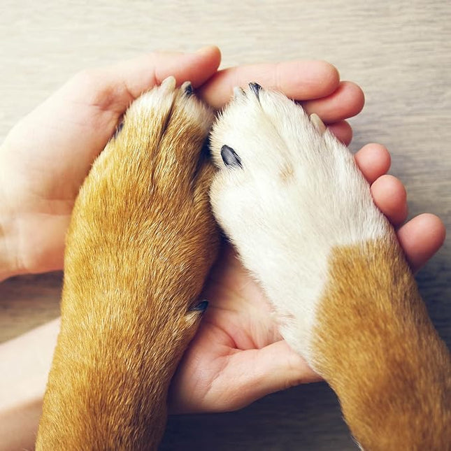 Eye Envy On The Paw Therapy Balm - Natural Dog Products, Nourish and Heal Cracked Paws, Protect Against Heat, Salt, Snow, 1.45oz