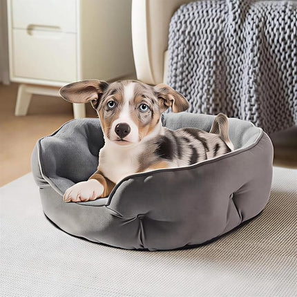 Small Dog Bed for Cats and Small Dogs, Grey Soft Velvet Pet Bed with Microfiber Fleece