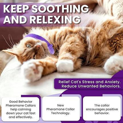 Pheromone Calming Collar for Cats: Breakaway Cat Calming Collar for Anxiety, 4 Pack (Purple)