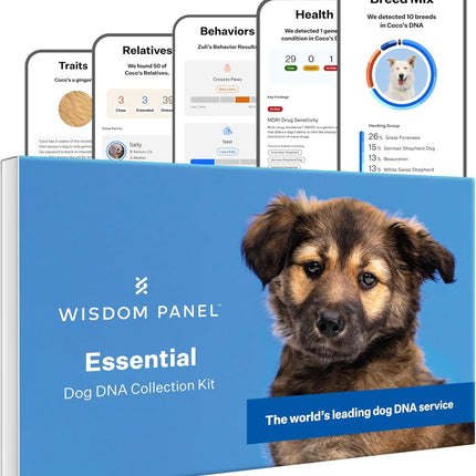 Wisdom Panel Essential Dog DNA Kit: Most Accurate Test for 365+ Breeds, 30 Genetic Health Conditions, 50+ Traits, Relatives, Ancestry