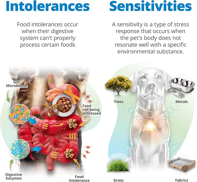 5Strands Pet Food Intolerance, Environmental & Heavy Metal Sensitivity, and Nutritional Imbalance Test, 1036 Items Tested, Cat & Dog Gut Health Test for All Breeds & Ages, Results in 4 Days
