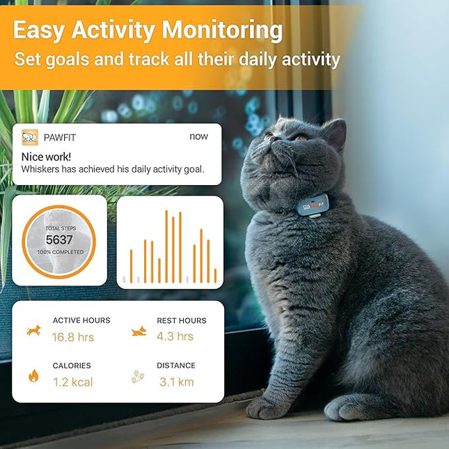 Pawfit Lite for Cats 4g GPS Tracker | Ultra-Small (<18g) Design | Real-Time Tracking | Activity Monitoring