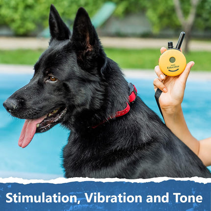 Educator ET-302 Mini E Collar for Dog Training with Remote - 1/2 Mile Range, Waterproof-2Dogs,All Sizes