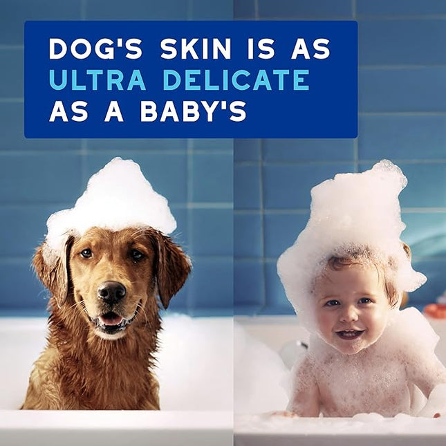 DOUXO® Skin & Coat SPA - Ultra-Safe Quick Refresh Leave-on Mousse for Dogs, 10 fl oz, Safely Cleans and Refreshes