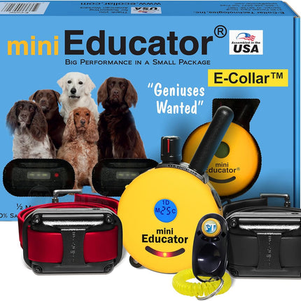 Educator ET-302 Mini E Collar for Dog Training with Remote - 1/2 Mile Range, Waterproof-2Dogs,All Sizes