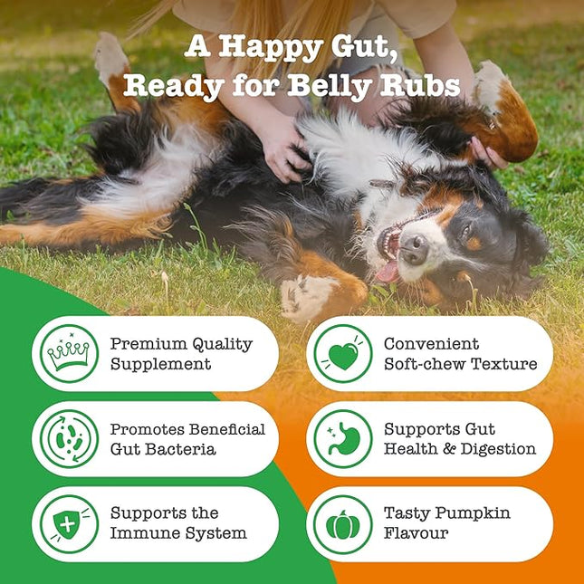 Zesty Paws Pre, Post & Probiotic Chews & Treats for Dogs, Pumpkin Flavour w/Epicor Postbiotics for Immune Support, Bacillus Subtilis & Inulin for Gut Health, All Breeds & Ages, 50 Pieces