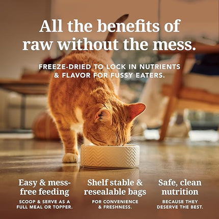 Feline Natural High Protein Dry Cat Food, Freeze-Dried Diet with 98% Meat, Organs & Seafood, No Peas, Grains, or Artificial Additives, Made in New Zealand, Lamb & King Salmon, 100g