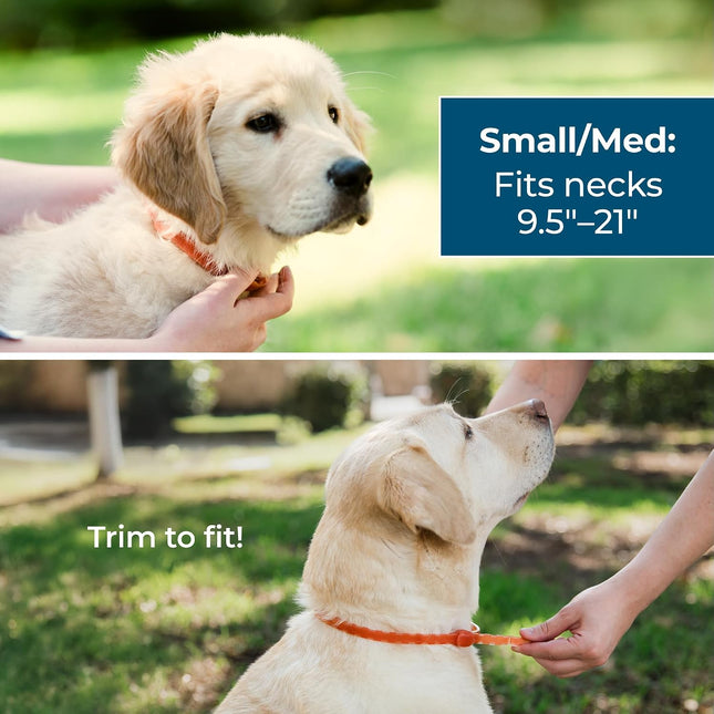 Wondercide Dog Collar - with Natural Essential Oils - 4 Months Protection,SMALL-MEDIUM