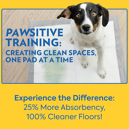 Out 72473-4P Heavy Duty XXL Dog Pads | Absorbent Pet Training and Puppy Pads | 30 Pads