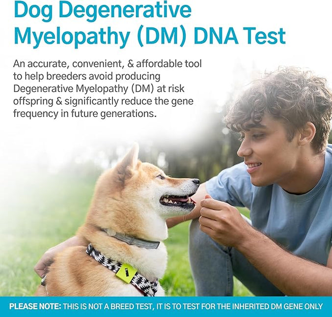 Dog Degenerative Myelopathy (DM) DNA Test | Home Sample Collection Kit for 1 Canine | Puppy DM Testing | Results in 7 Working Days | A Complete Kit with No Extra Fees