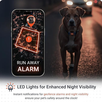 PAJ 4G Dog GPS Tracker & LED Collar Bundle, 3 Months Included - Real-Time Dog Tracking - Escape Alerts - Virtual Fence - Activity & Health Monitor - 7 Light Colors